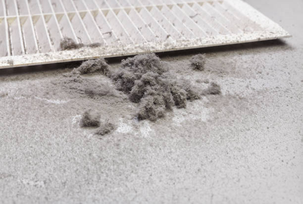 Best Affordable HVAC Duct Cleaning  in Satsuma, AL