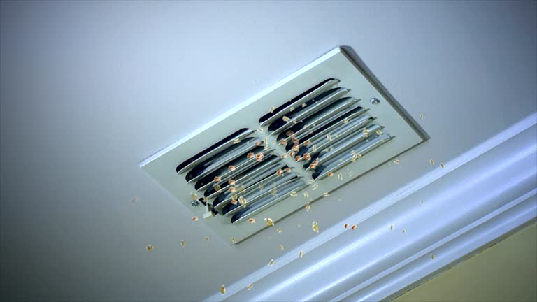 Best Home Air Vent Cleaning  in Satsuma, AL