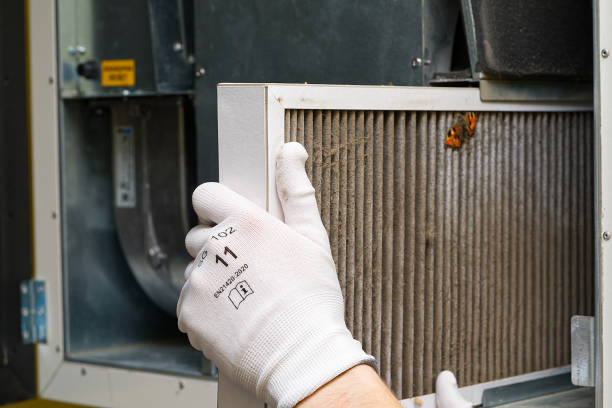 Best HVAC System Cleaning  in Satsuma, AL